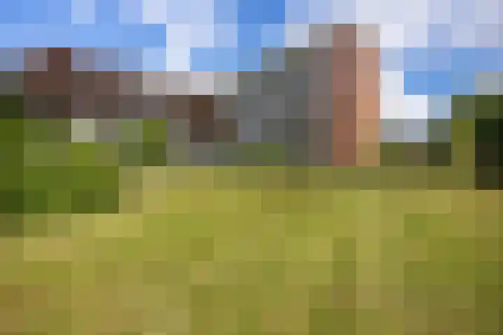 Maria in Campislaan 9 Assen thumbnail 27