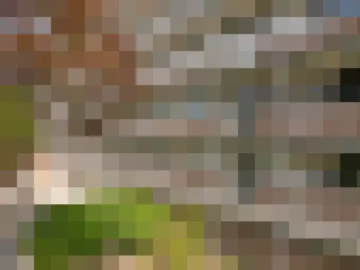 Maria in Campislaan 9 Assen thumbnail 34
