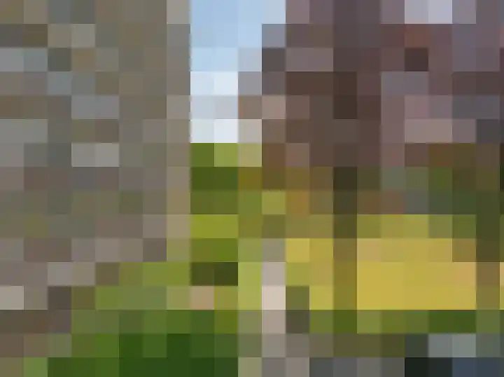 Maria in Campislaan 9 Assen thumbnail 35