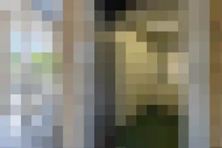 Maria in Campislaan 9 Assen thumbnail 6