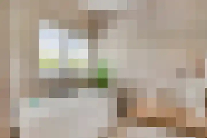 Maria Kleine-Gartmanstraat 40 Spijkenisse thumbnail 4