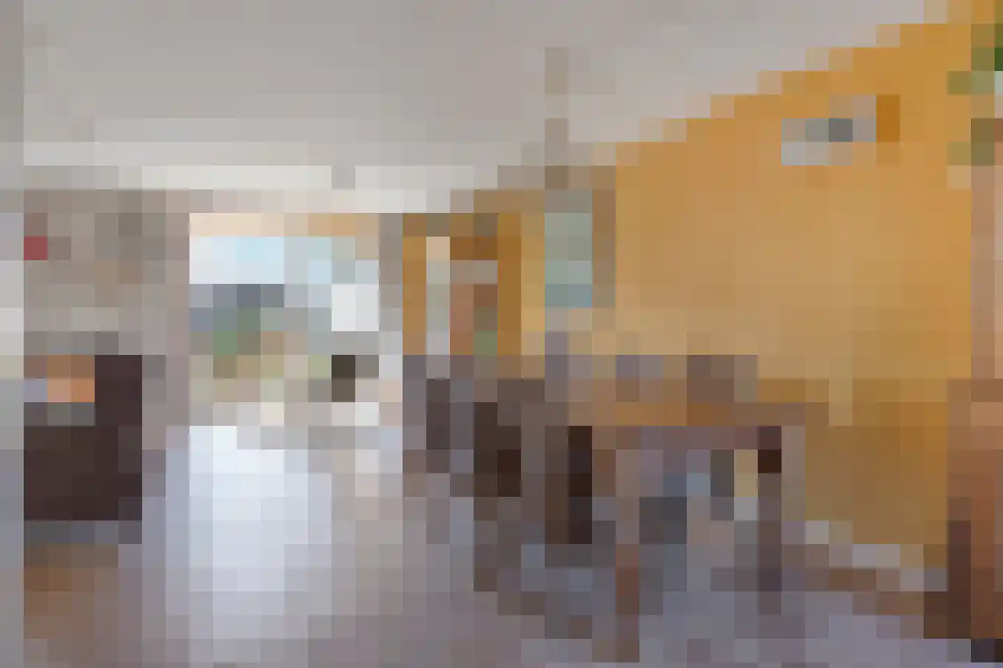 Maria Kleine-Gartmanstraat 46 Spijkenisse thumbnail 9