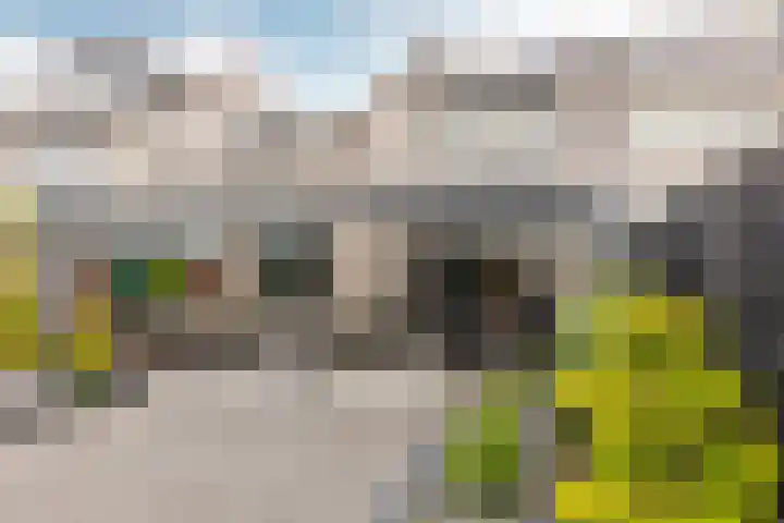 Maria Kleine-Gartmanstraat 92 Spijkenisse thumbnail 31