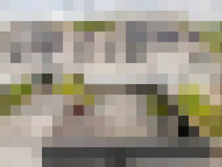 Maria Kleine-Gartmanstraat 92 Spijkenisse thumbnail 35