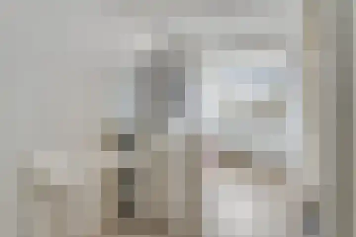 Maria Koijenhof 20 Breda thumbnail 10