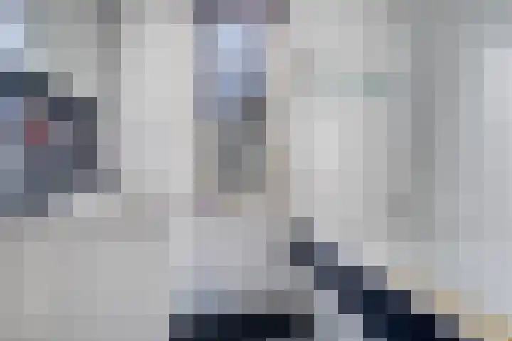 Maria Koijenhof 20 Breda thumbnail 13