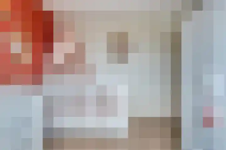 Maria Koijenhof 20 Breda thumbnail 16