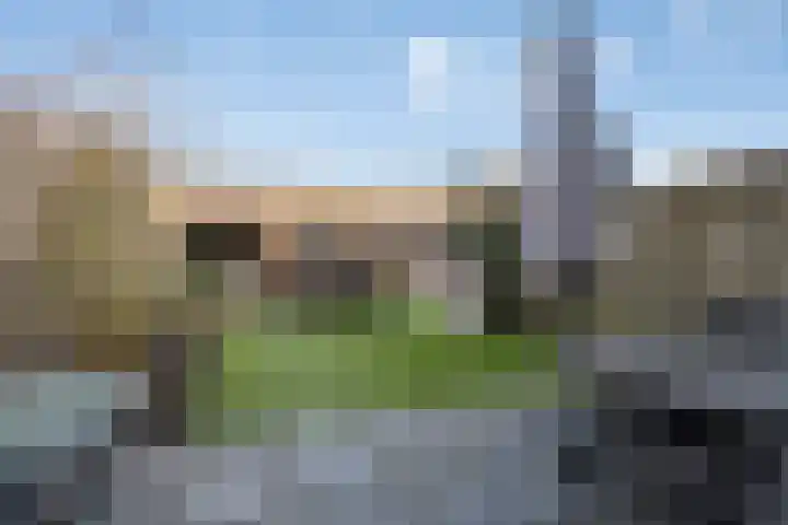 Maria Koijenhof 20 Breda thumbnail 17