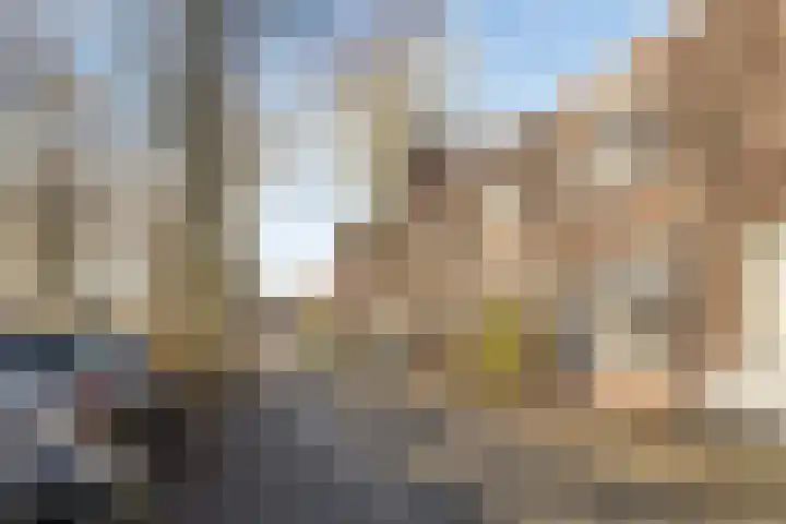 Maria Koijenhof 20 Breda thumbnail 23