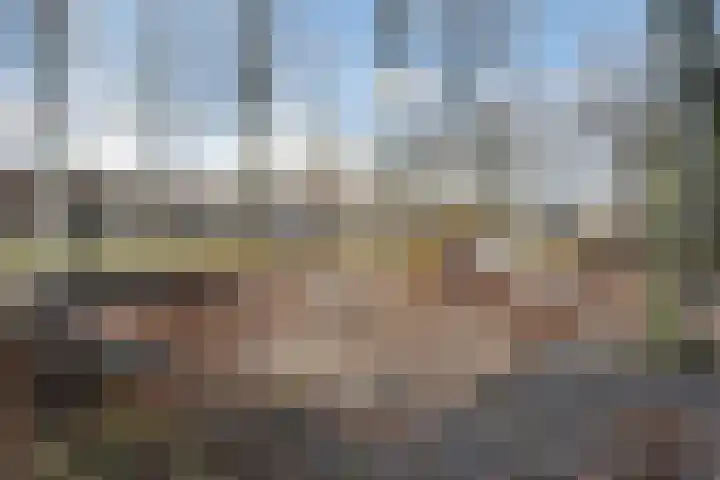 Maria Koijenhof 20 Breda thumbnail 24
