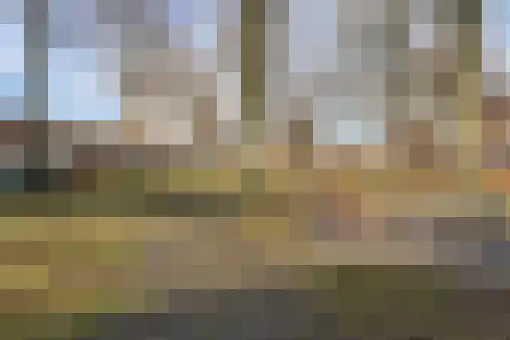 Maria Koijenhof 20 Breda thumbnail 25