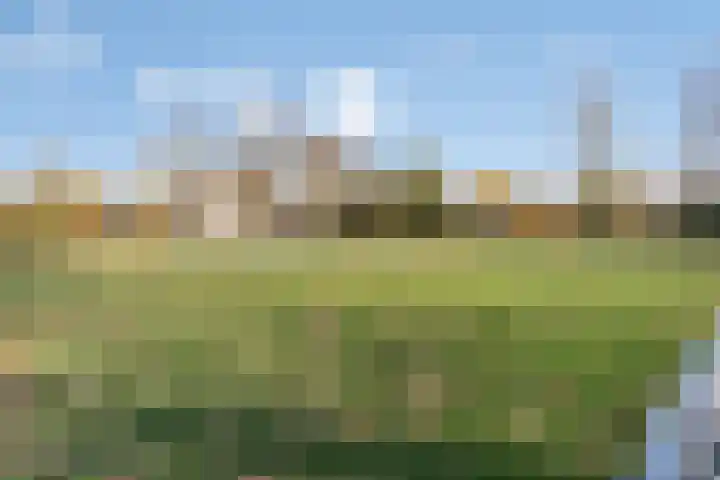 Maria Koijenhof 20 Breda thumbnail 26