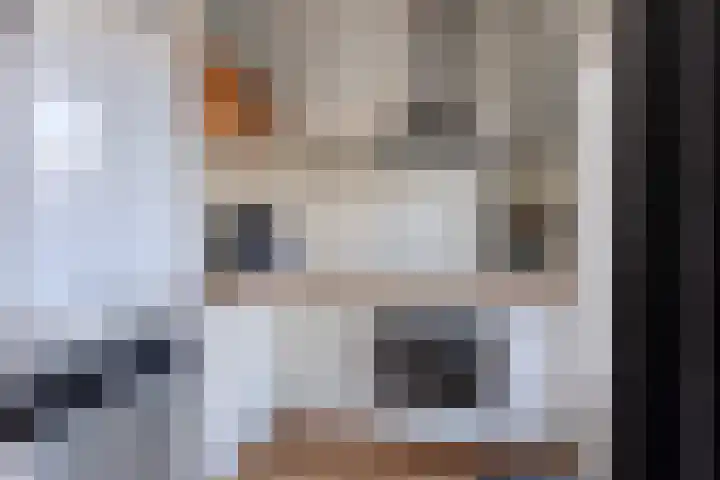 Maria Koijenhof 20 Breda thumbnail 7