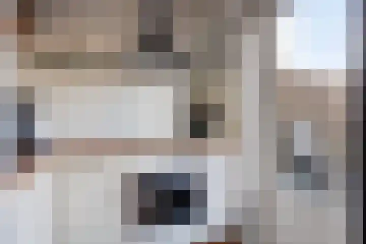 Maria Koijenhof 20 Breda thumbnail 8