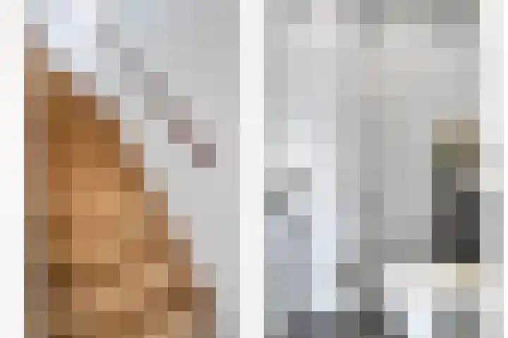 Maria Koijenhof 20 Breda thumbnail 9