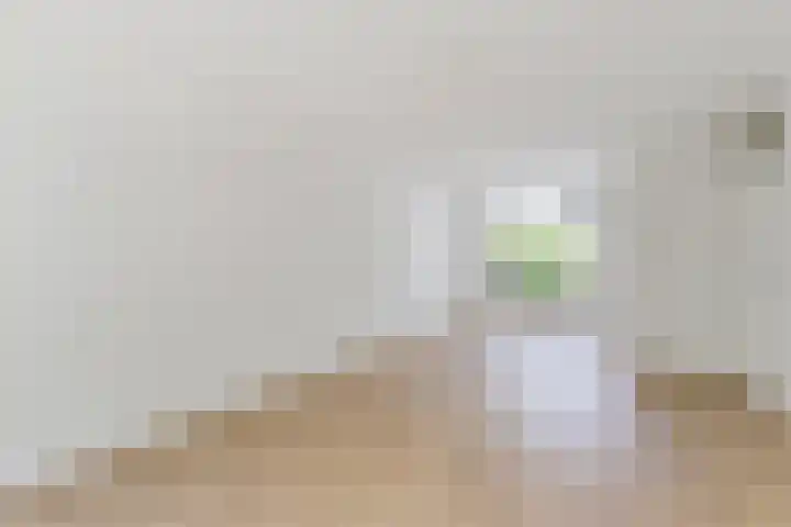 Maria Koijenhof 39 Breda thumbnail 11