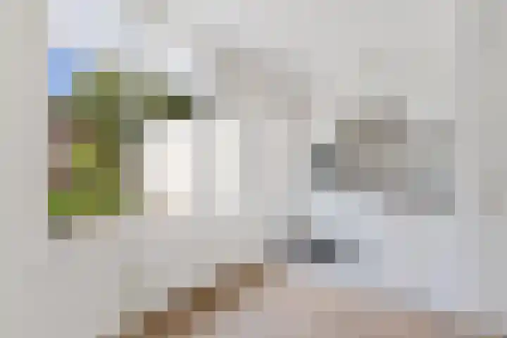 Maria Koijenhof 39 Breda thumbnail 14