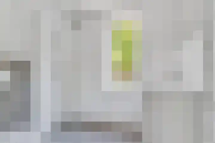 Maria Koijenhof 39 Breda thumbnail 17