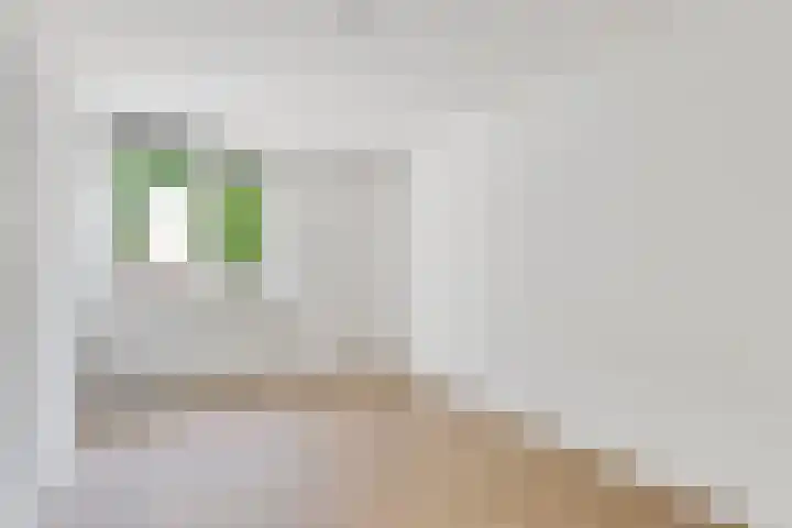 Maria Koijenhof 39 Breda thumbnail 18