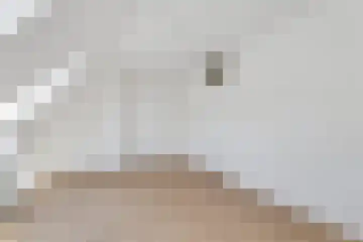 Maria Koijenhof 39 Breda thumbnail 21