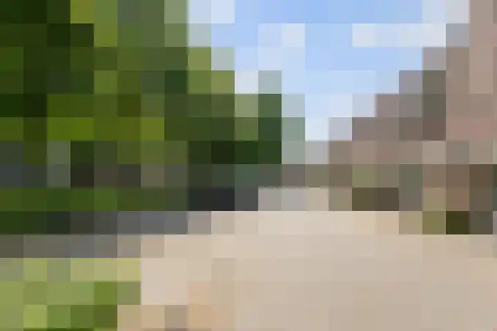 Maria Koijenhof 39 Breda thumbnail 22