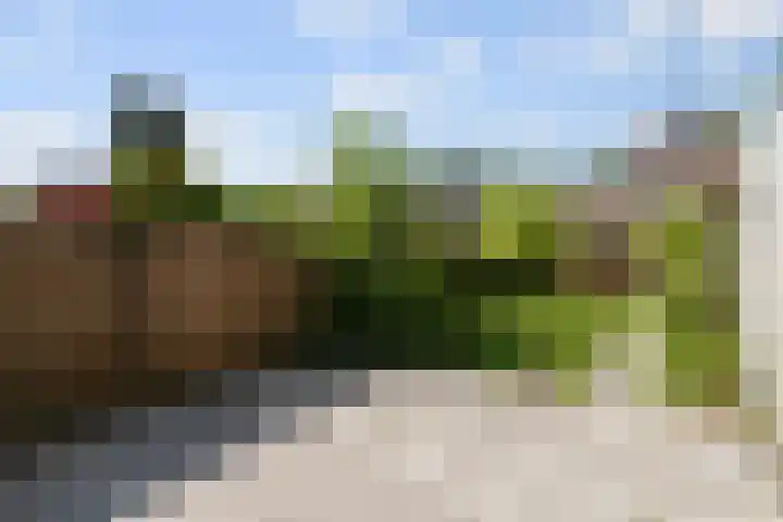 Maria Koijenhof 39 Breda thumbnail 23