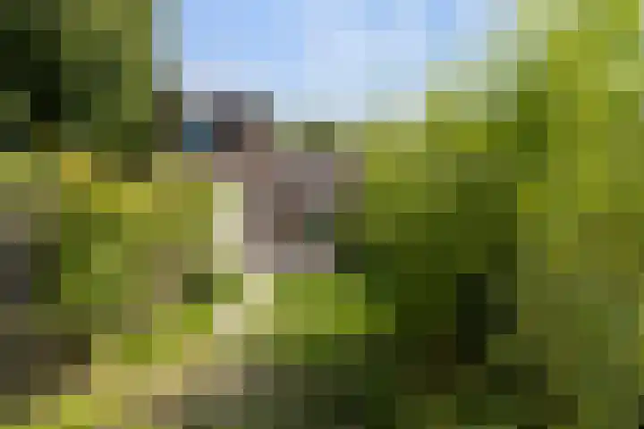Maria Koijenhof 39 Breda thumbnail 24