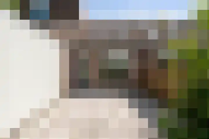 Maria Koijenhof 39 Breda thumbnail 25
