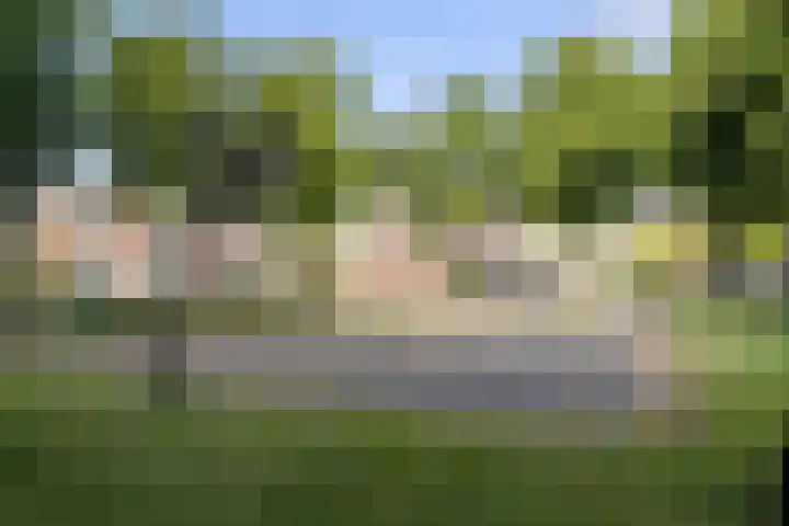 Maria Koijenhof 39 Breda thumbnail 28
