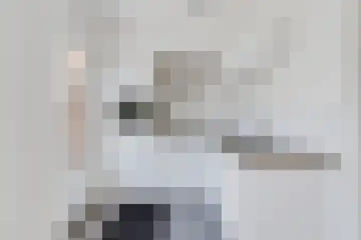 Maria Koijenhof 39 Breda foto 3