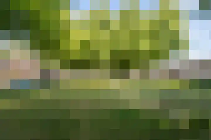 Maria Koijenhof 39 Breda thumbnail 30