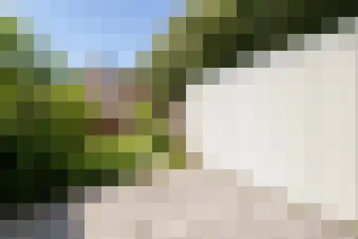 Maria Koijenhof 39 Breda thumbnail 4