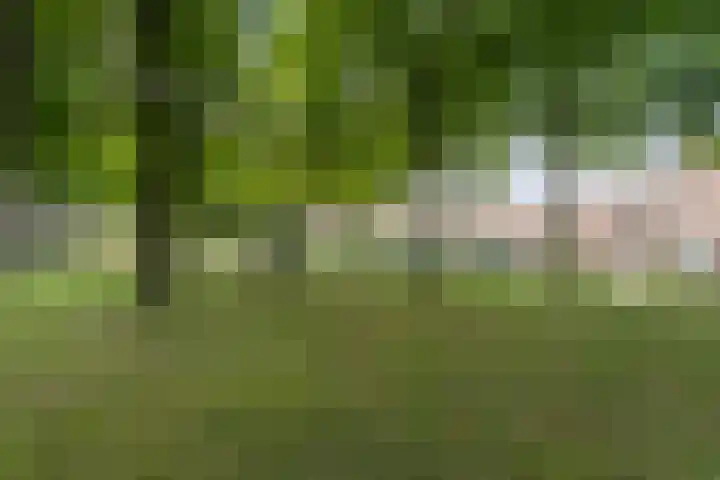 Maria Koijenhof 39 Breda thumbnail 5