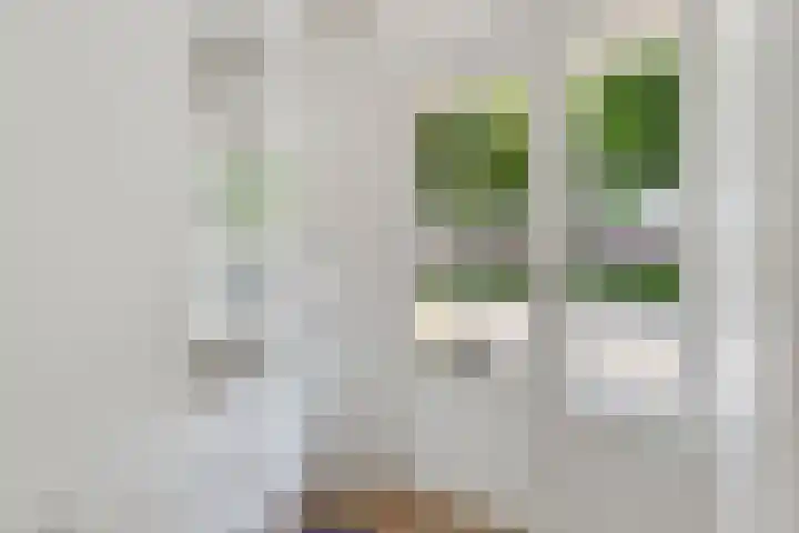 Maria Koijenhof 39 Breda thumbnail 6