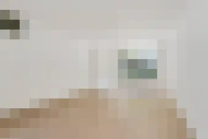 Maria Koijenhof 39 Breda thumbnail 7