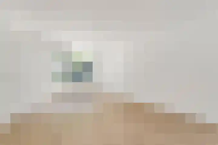 Maria Koijenhof 39 Breda thumbnail 8