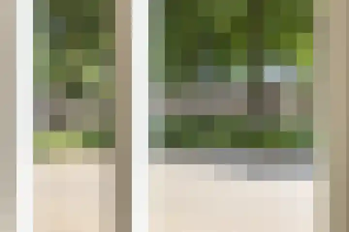 Maria Koijenhof 39 Breda thumbnail 9