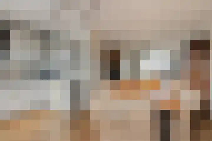 Maria Koijenhof 43 Breda thumbnail 13