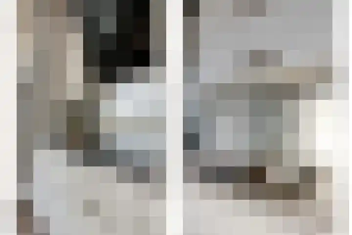 Maria Koijenhof 43 Breda thumbnail 15