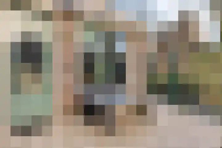 Maria Koijenhof 43 Breda thumbnail 17
