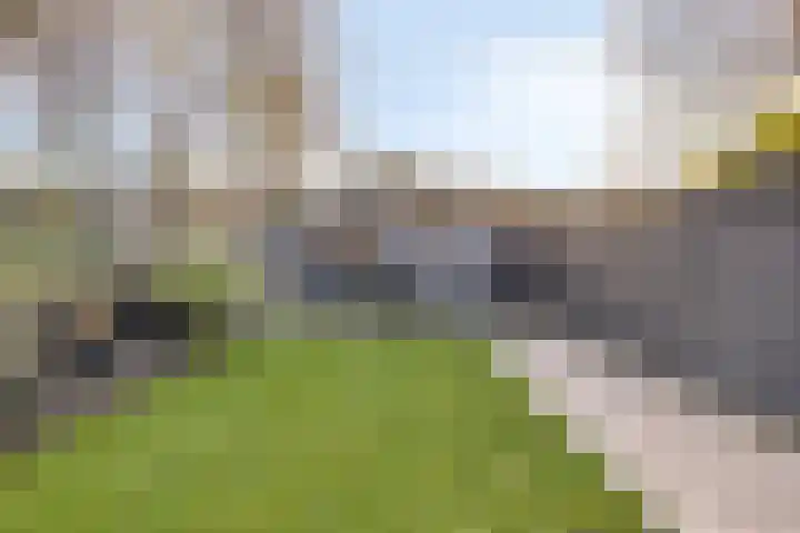 Maria Koijenhof 43 Breda thumbnail 18
