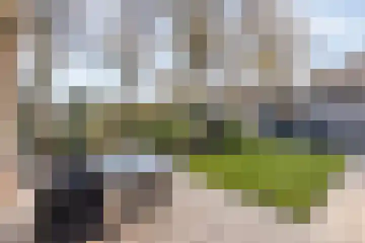Maria Koijenhof 43 Breda thumbnail 19