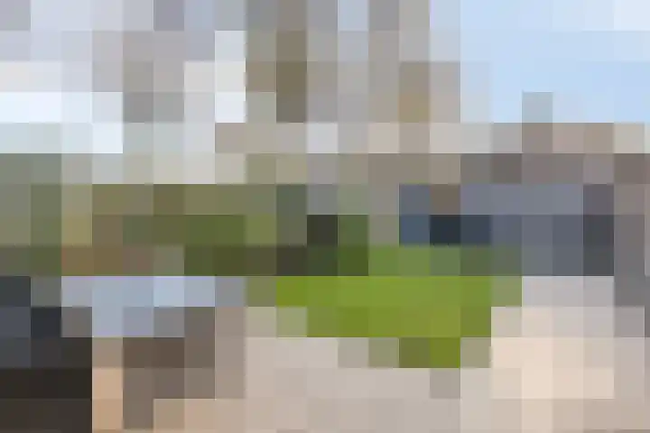 Maria Koijenhof 43 Breda thumbnail 20