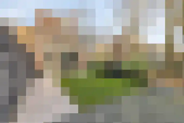 Maria Koijenhof 43 Breda thumbnail 21