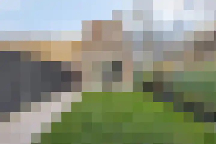 Maria Koijenhof 43 Breda thumbnail 22