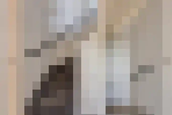 Maria Koijenhof 43 Breda thumbnail 23