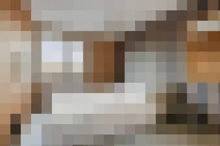 Maria Koijenhof 43 Breda thumbnail 24