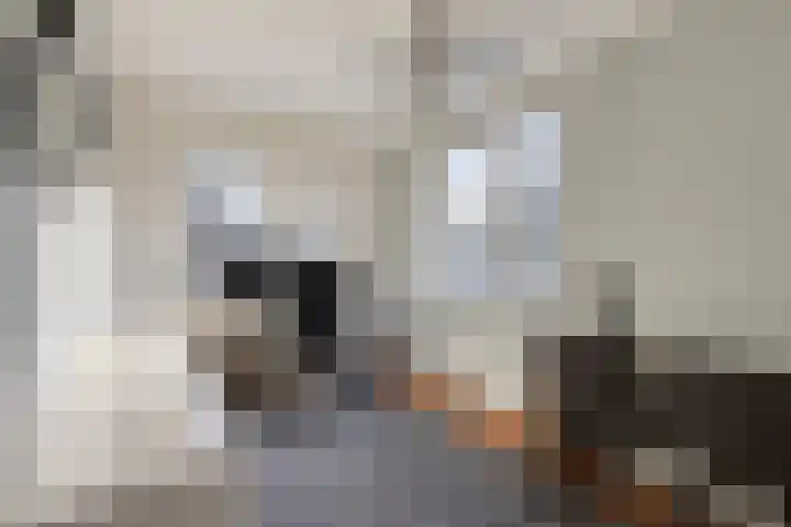 Maria Koijenhof 43 Breda thumbnail 30