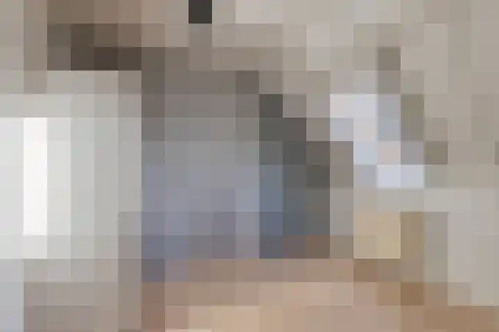 Maria Koijenhof 43 Breda thumbnail 31