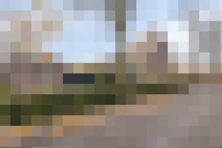 Maria Koijenhof 43 Breda thumbnail 33